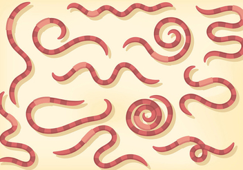 Free Earthworm Icons Vector - Kostenloses vector #383301