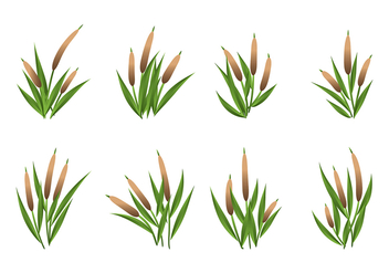 Cattails Vector Set - Free vector #383541