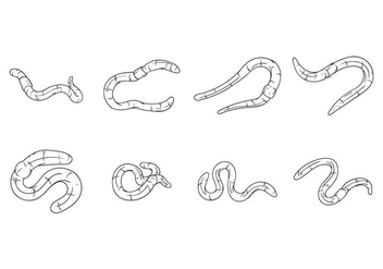 Free Hand Drawing Earthworm Vector - vector #384971 gratis