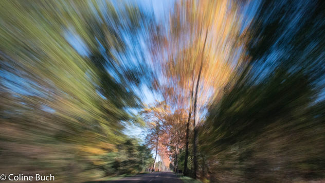 Fall colors at high speed! - бесплатный image #396521