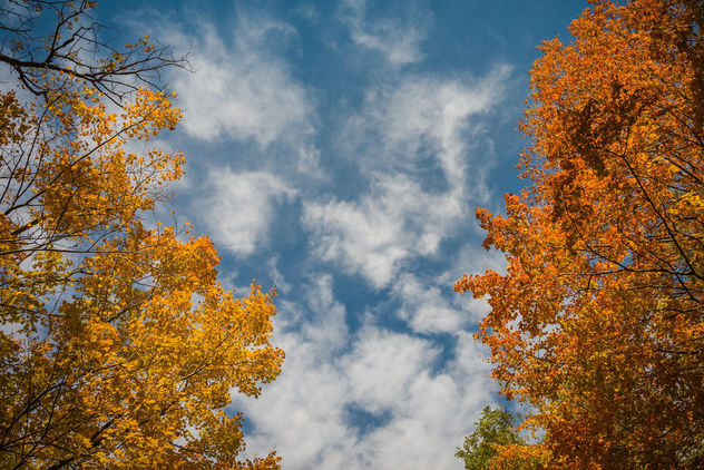 Autumn in Virginia - Free image #397601