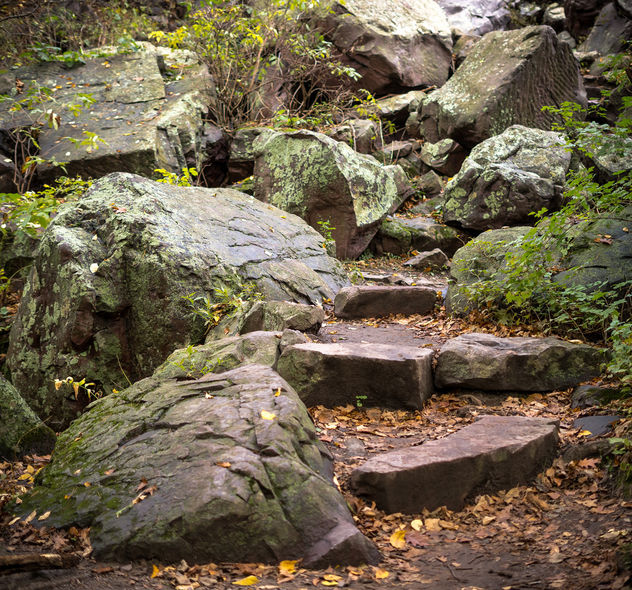 Nature's Stairs - Kostenloses image #397811