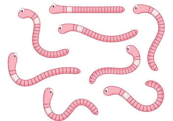 Earthworm Vector 2 - Free vector #401921