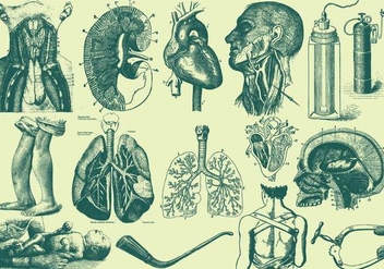 Green Anatomy And Health Care Illustrations - бесплатный vector #405011