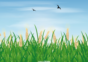 Rice Field Illustration - vector #406321 gratis