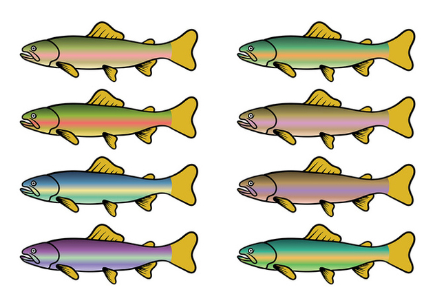 Rainbow Trout Fish Vector - Free vector #408581