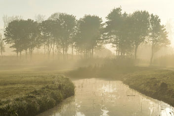 A touch of sunlight - Biesbosch, Dordrecht - бесплатный image #410081