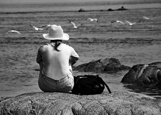 Woman Watching Seagulls - Kostenloses image #411851