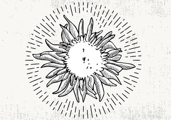 Free Hand Drawn Sunflower Background - бесплатный vector #423771
