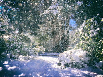 Winter. Its Last Bow... : ) - бесплатный image #423941