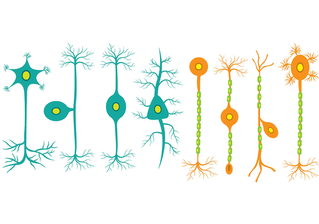 Neuron icons - Free vector #425331