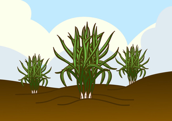 Wild Lemongrass Plant Vector - бесплатный vector #426261
