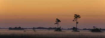 Everglades Sunrise - Free image #427181