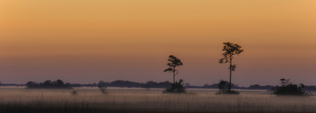 Everglades Sunrise - image #427181 gratis