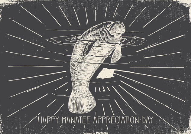 Vintage Manatee Appreciation Day Illustration - бесплатный vector #427281