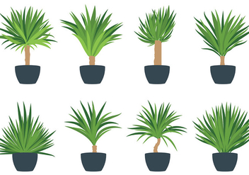 Free Yucca Icons Vector - Free vector #431591