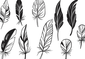 Free Feathers Vectors - Free vector #433641