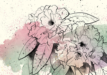 Rhododendron Watercolor Illustration - vector gratuit #434041 
