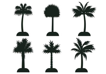 Palmetto tree vector silhouette - Free vector #435211
