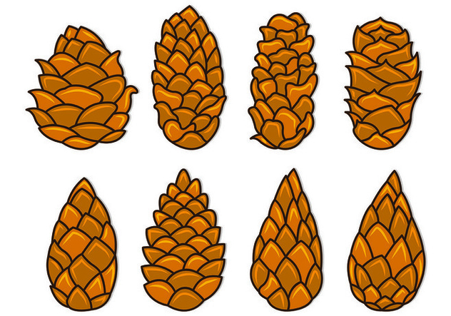 Set Of Pine Cones Vectors - Kostenloses vector #435381
