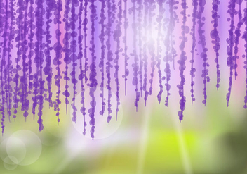 Wisteria Flower Background - Free vector #436831
