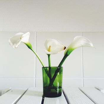 Flowers in vase - image #439111 gratis