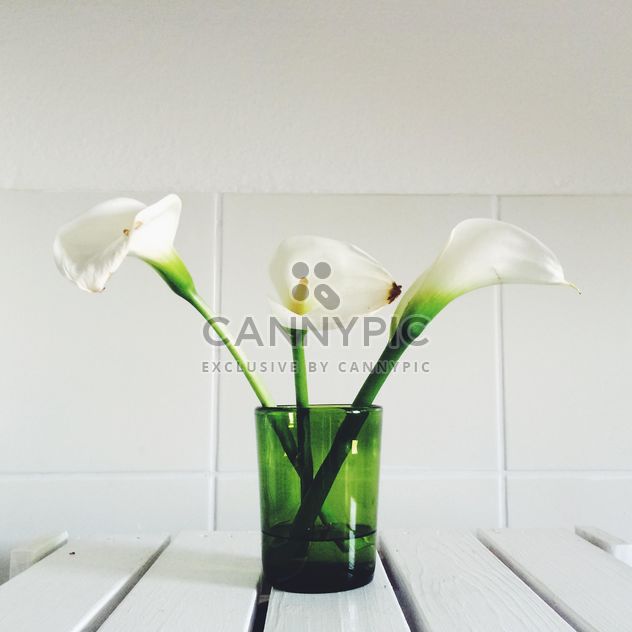 Flowers in vase - Free image #439111