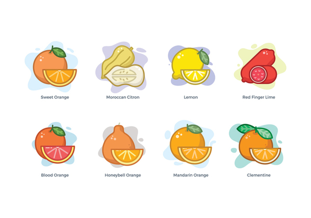 Free Citrus Family Icons - Free vector #440101