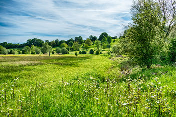 Spring Meadow - image #440981 gratis