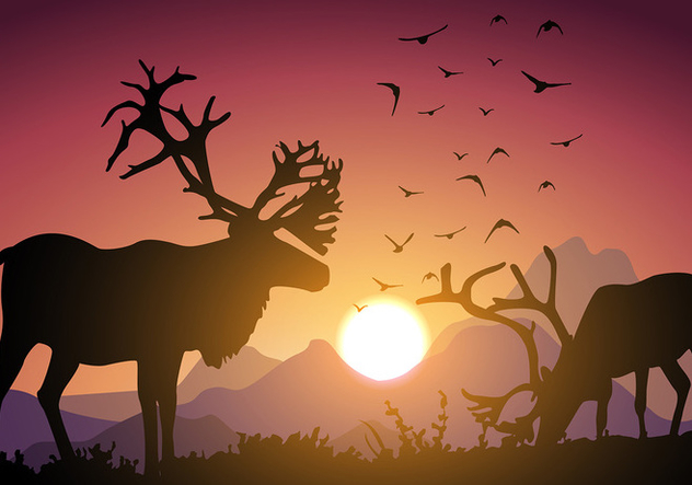 Caribou Sunset Free Vector - Kostenloses vector #444931