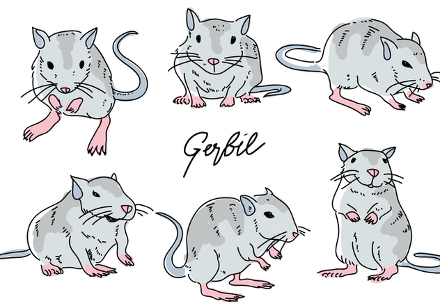 Gerbil Mouse Pose Hand Drawn Doodle Vector Illustration - Kostenloses vector #445021