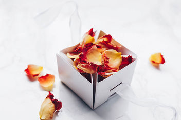 Rose petals in a gift box.jpg - image gratuit #454251 