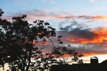 backyard dawn 01 - Free image #455061