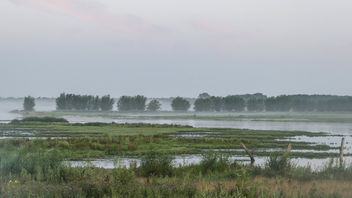 Early rise in the wetlands - Free image #466901