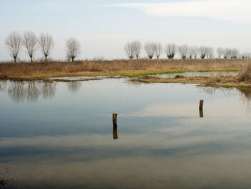 Wetland. LIPU oasis in Racconigi. - image gratuit #468241 