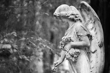 Angel. Staglieno-Genova monumental cemetery. - Free image #469311