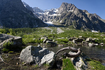 Val Ferret, Mont Blanc area. Best viewed large. - бесплатный image #472111