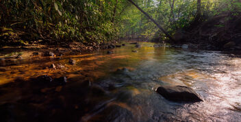 Conococheague Creek - image #472471 gratis
