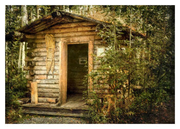 Trailside Cabin Near Fairbanks - image #473991 gratis