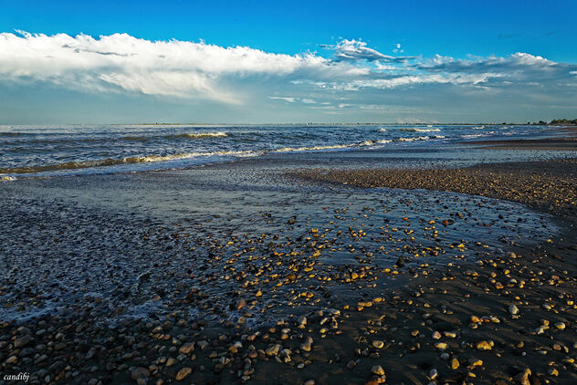 Piedras en la playa - бесплатный image #474511