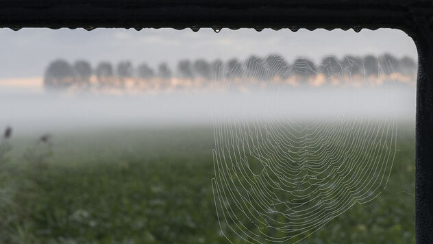 Morning fog - Kostenloses image #474751