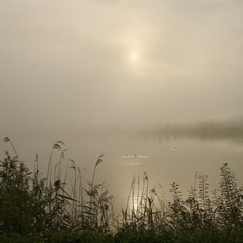 Misty sunrise on the lake - image #475301 gratis