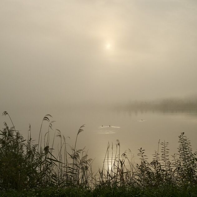 Misty sunrise on the lake - бесплатный image #475301