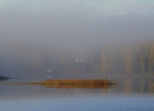 Misty morning - Free image #475551