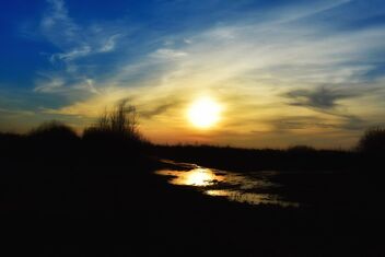Sunset over Wetlands - Free image #479361