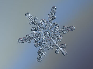 Snowflake - image gratuit #484811 