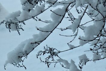 Winter Abstract - бесплатный image #485791