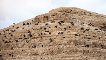 Mountain of Goats - image #486521 gratis