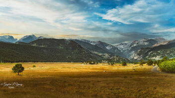 The Medows of Rocky Mountains - бесплатный image #490381