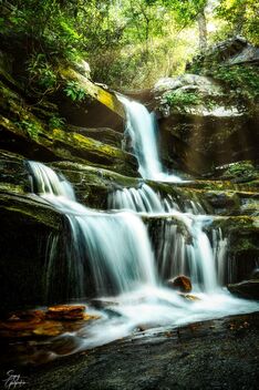 Hidden Falls with Leica M11 - бесплатный image #490671